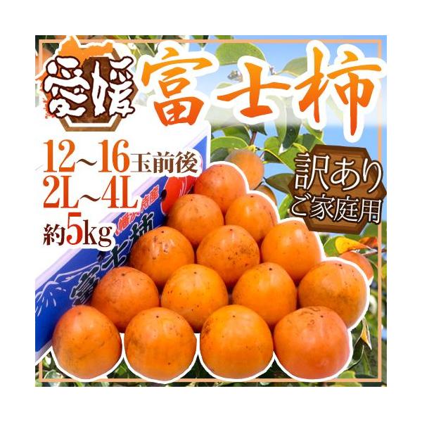 QlY hxm`h 󂠂 2L`4L 12`16ʑO 5kgy\ 11ȍ~z 