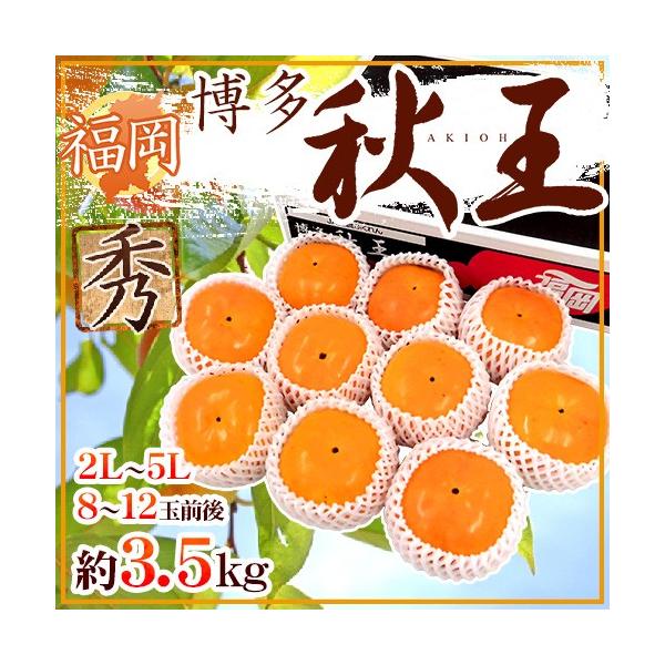  hHh Gi 2L`5L 8`12ʑO 3.5kg H`y\ 11ȍ~z 