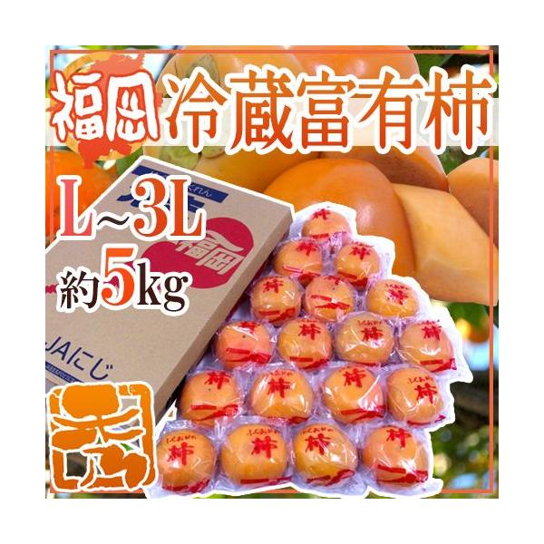 Y hxL`h Gi L`3L 5kgy\ 12ȍ~z 