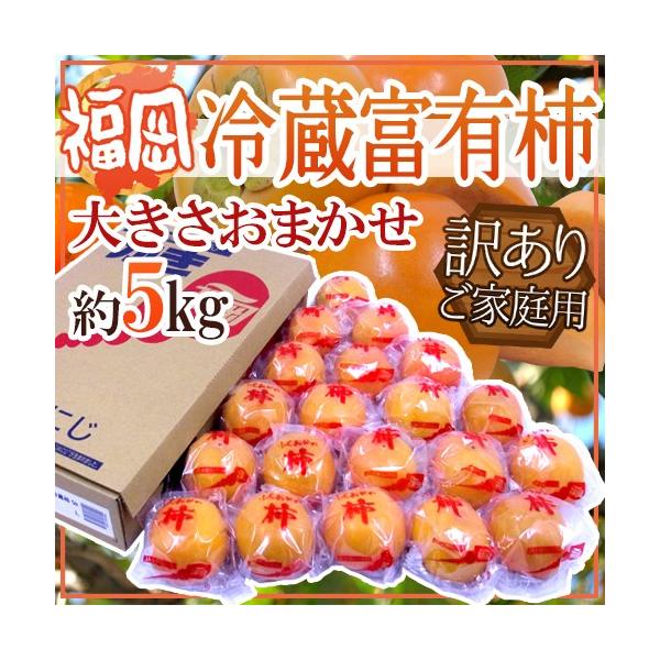 Y hxL`h 󂠂 5kg 傫܂y\ 12ȍ~z 