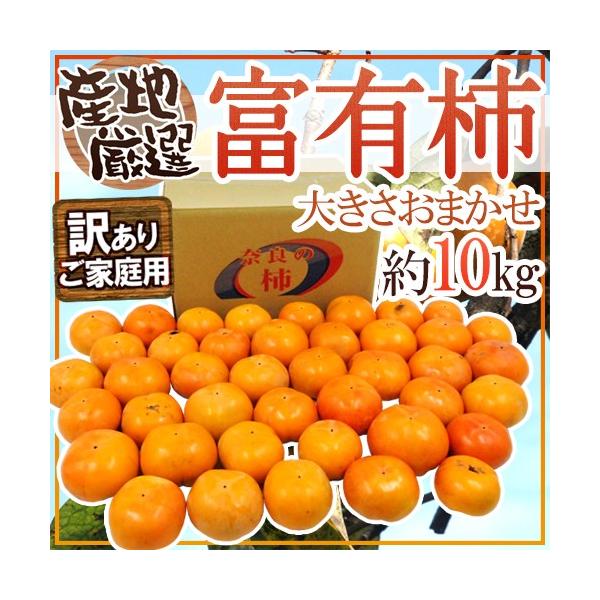 hxL`h 󂠂 10kg 傫܂ YnIy\ 11ȍ~z 