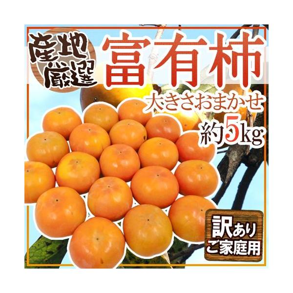 hxL`h 󂠂 5kg 傫܂ YnIy\ 11ȍ~z 