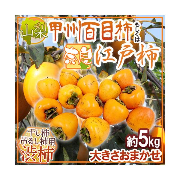 `E݂邵`p ha`h R bBSڊ`  ޗǌg ]ˊ` 5kg 傫܂y\ 11ȍ~z 