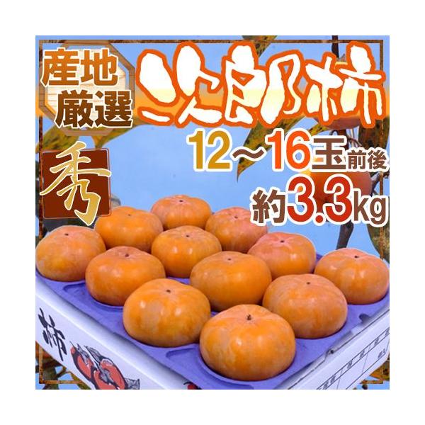 hY`h Gi 12`16ʑO 3.3kg YnIy\ 10{ȍ~z 