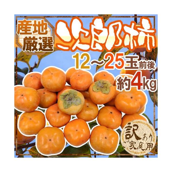 hY`h 󂠂 12`25ʑO 4kg YnIy\ 10{ȍ~z 