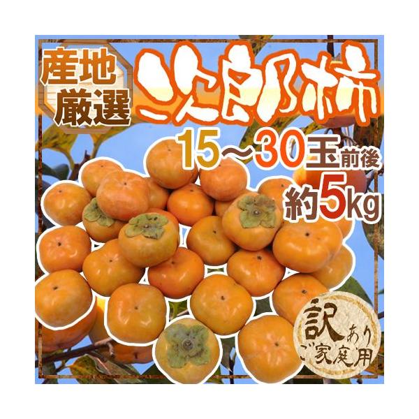 hY`h 󂠂 15`30ʑO 5kg YnIy\ 10{ȍ~z 