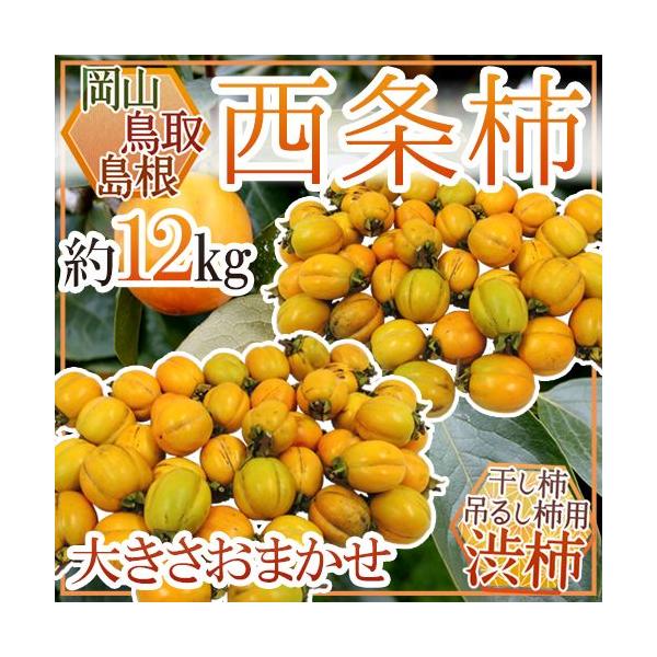 EERY `E݂邵`p h` a`h 12kg 傫܂y\ 10{ȍ~z 