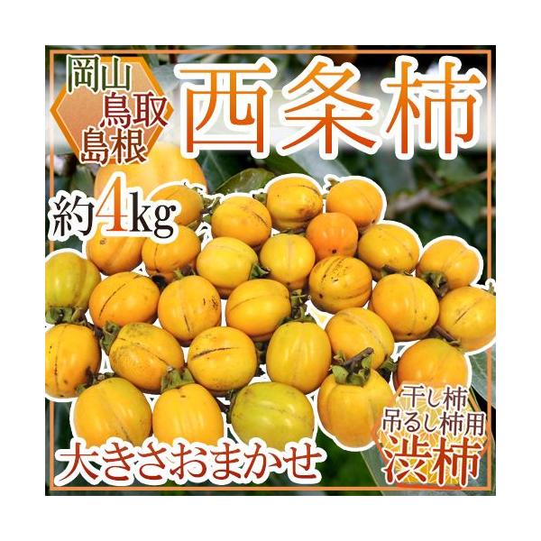 西条柿 - フルーツの通販・価格比較 - 価格.com 西条柿 - フルーツの通販・価格比較 - 価格.com