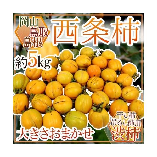 EERY `E݂邵`p h` a`h 5kg 傫܂y\ 10{ȍ~z 