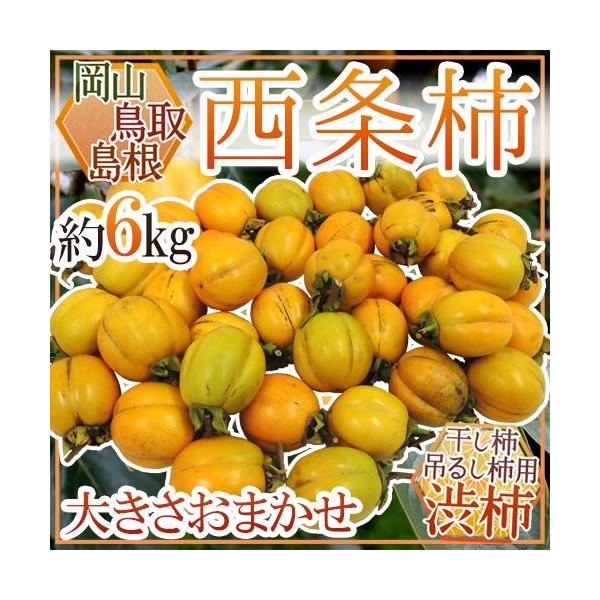 EERY `E݂邵`p h` a`h 6kg 傫܂y\ 10{ȍ~z 