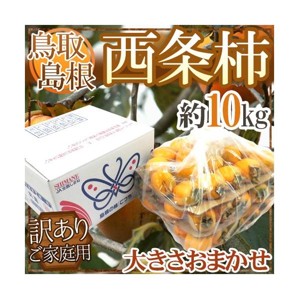 EY h`h 󂠂 10kg 傫܂y\ 10{ȍ~z 