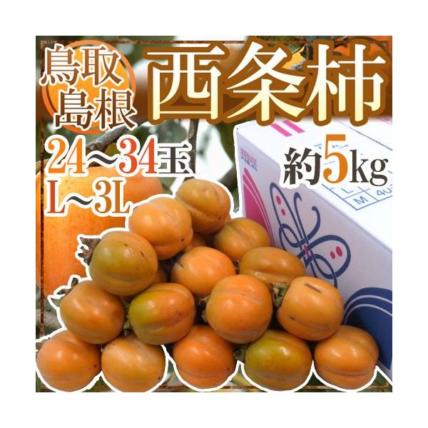 EY h`h Gi L`3L 5kgy\ 10{ȍ~z 