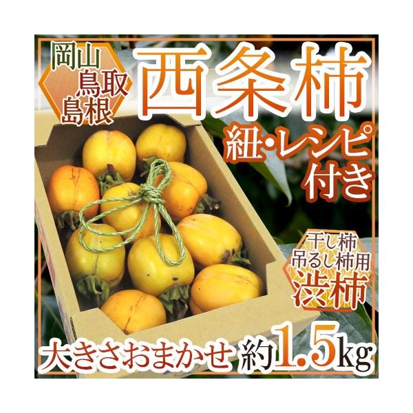 EERY `E݂邵`p h` a`h 1.5kg 傫܂y\ 10{ȍ~z