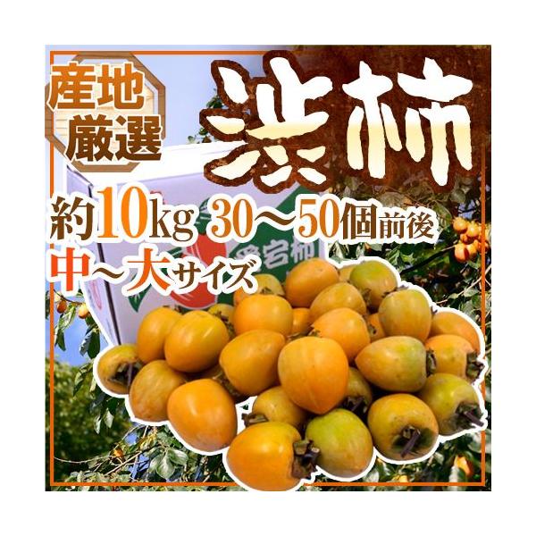 `E݂邵`p ha`h `TCY 10kg u`vua`vꂩ{ȎYnŁy\ 11{ȍ~z 