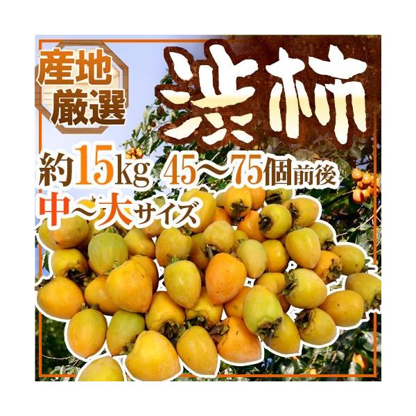 `E݂邵`p ha`h `TCY 15kg u`vua`vꂩ{ȎYnŁy\ 11{ȍ~z 