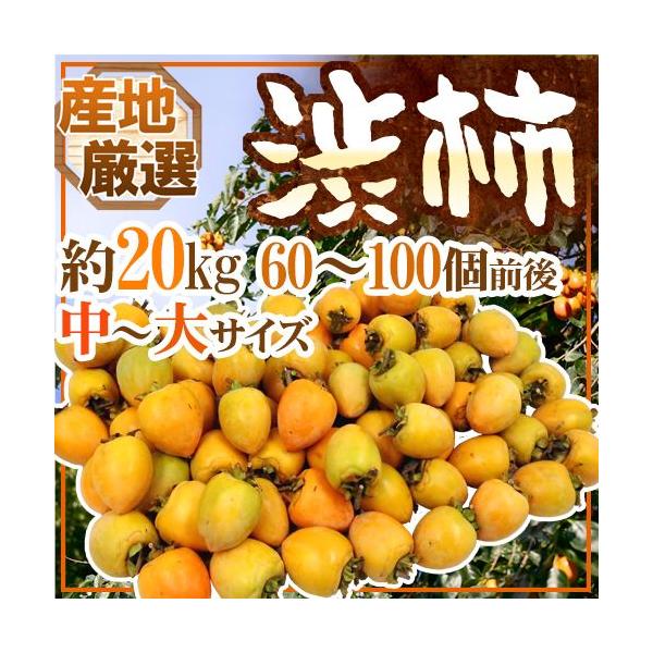 `E݂邵`p ha`h `TCY 20kg u`vua`vꂩ{ȎYnŁy\ 11{ȍ~z 