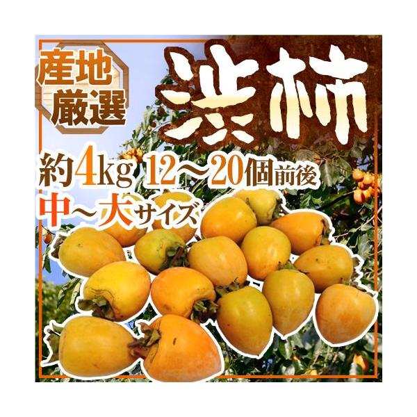 `E݂邵`p ha`h `TCY 4kg u`vua`vꂩ{ȎYnŁy\ 11{ȍ~z 