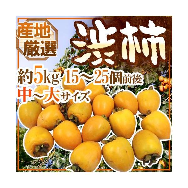 `E݂邵`p ha`h `TCY 5kg u`vua`vꂩ{ȎYnŁy\ 11{ȍ~z 