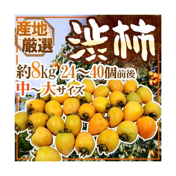`E݂邵`p ha`h `TCY 8kg u`vua`vꂩ{ȎYnŁy\ 11{ȍ~z 