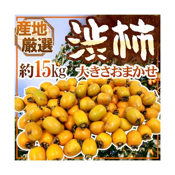 `E݂邵`p ha`h 15kg 傫܂ u`vua`vꂩ{ȎYnŁy\ 11{ȍ~z 