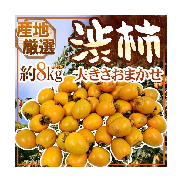 `E݂邵`p ha`h 8kg 傫܂ u`vua`vꂩ{ȎYnŁy\ 11{ȍ~z 