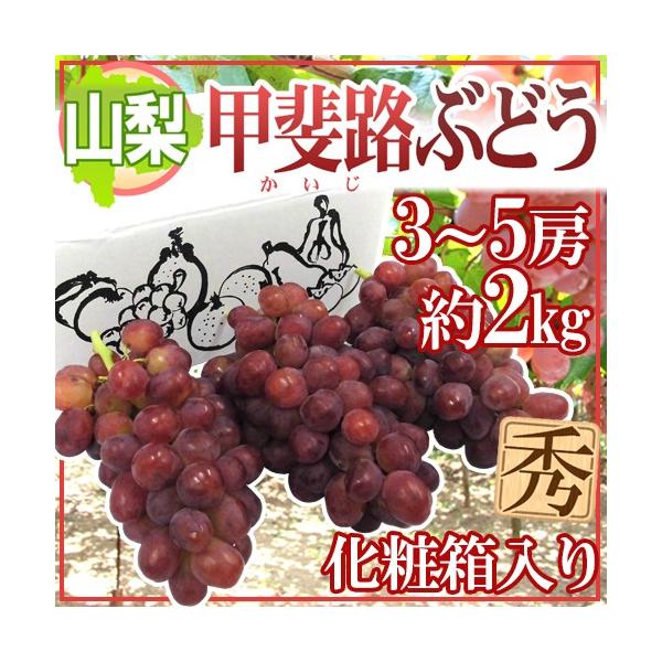 甲斐路ぶどうF4 cb8f343006f2cc516e27dab595273f