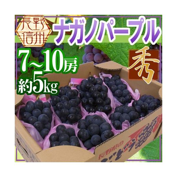 ナガノパープル 送料無料 - フルーツの人気商品・通販・価格比較 - 価格.com ナガノパープル 送料無料 - フルーツの人気商品・通販・価格比較 - 価格.com