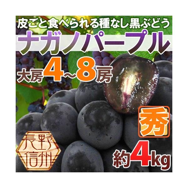 ぶどう 長野産 ”ナガノパープル” 秀品 大房限定 4〜8房 約4kg ぶどう【予約 9月以降】[M2] 送料無料