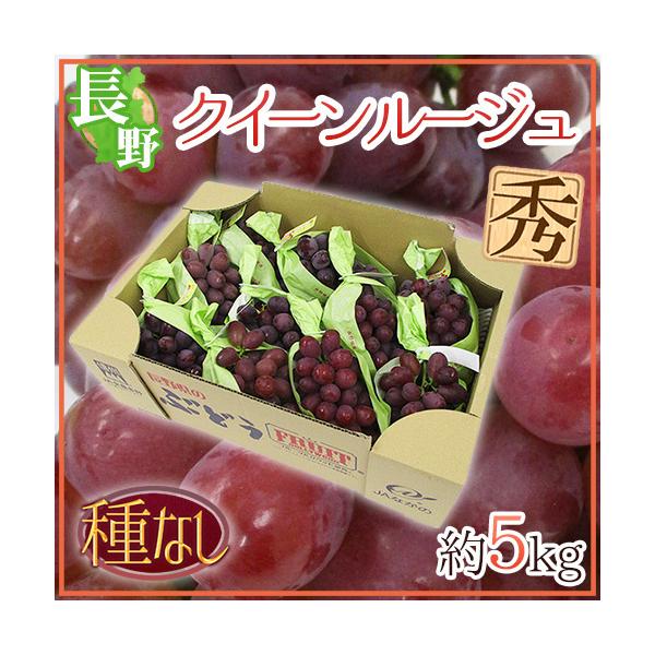 Ԃǂ 쌧 hNC[[Wh Gi 5kg ԂԂǂy\ 9{ȍ~z 