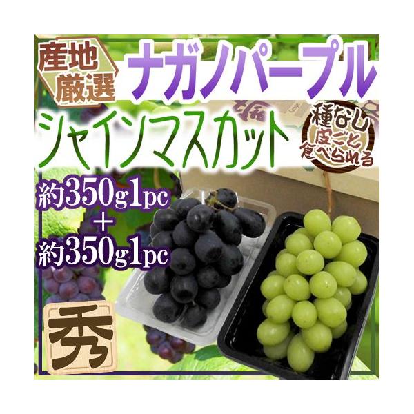 ぶどう詰め合わせ 約5kg シャインマスカット 種なし巨峰 ナガノパープル ぶどう詰め合わせ 約5kg シャインマスカット 種なし巨峰 ナガノ