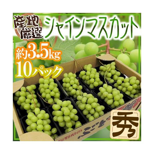 きたーーー‼️本日少し入荷‼️バツグンビックシャインマスカット3房6980円4 長野のシャインマスカット｜ Oisix産直おとりよせ市場
