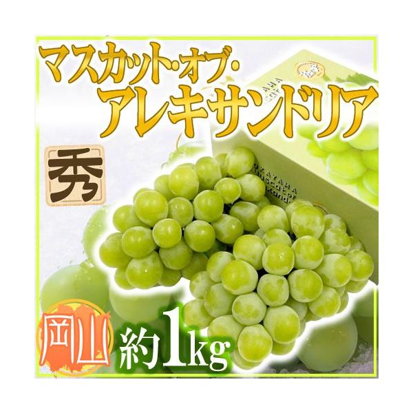���i�摜