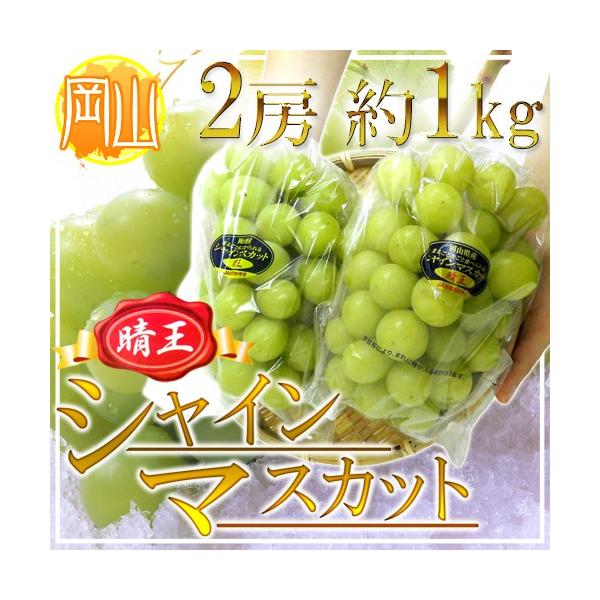 RY hVC}XJbguvh 2[ 1kg Ԃǂy\ 7{ȍ~z 