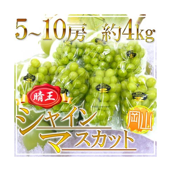 RY hVC}XJbguvh 5`10[ 4kg Ԃǂy\ 7{ȍ~z 