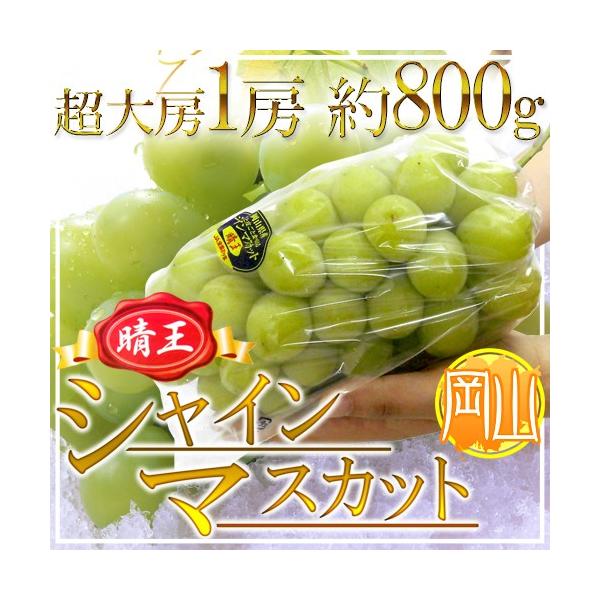 RY hVC}XJbguvh [1[ 800gȏ Ԃǂy\ 7{ȍ~z