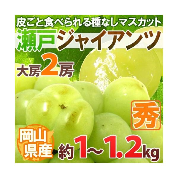 Ԃǂ RY h˃WCAch Gi [ 2[ 1`1.2kgy\ 9ȍ~z[B2]