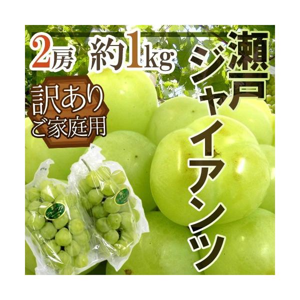 Ԃǂ RY h˃WCAch 󂠂 2[ 1kgy\ 9ȍ~z [M1]