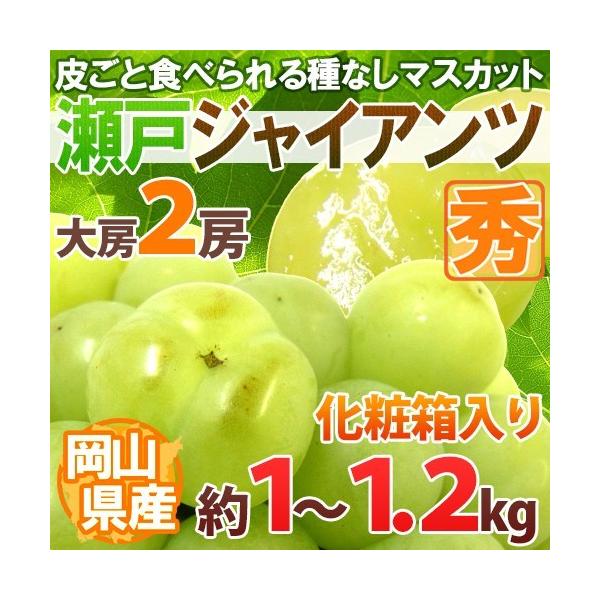 Ԃǂ RY h˃WCAch Gi [ 2[ 1`1.2kg ϔy\ 9ȍ~z [K2]