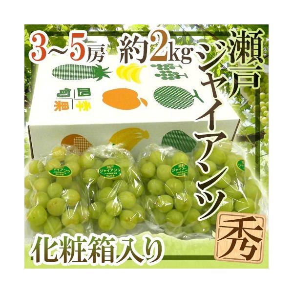 岡山産 ”瀬戸ジャイアンツ” 秀品 3〜6房 約2kg 化粧箱 ぶどう 送料無料 通販 