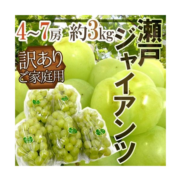 Ԃǂ RY h˃WCAch 󂠂 4`7[ 3kgy\ 9ȍ~z