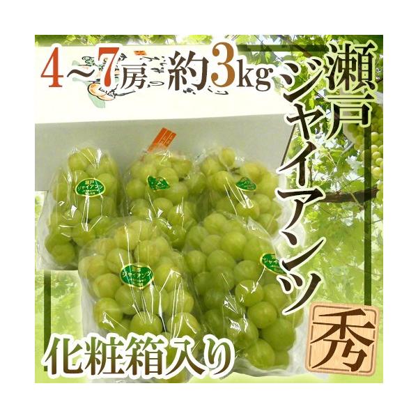 Ԃǂ RY h˃WCAch Gi 4`7[ 3kg ϔy\ 9ȍ~z [K1]