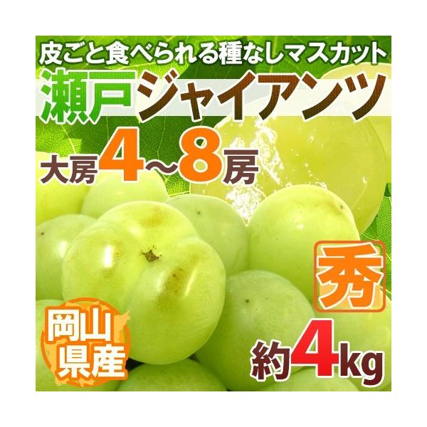 Ԃǂ RY h˃WCAch Gi [ 4`8[ 4kgy\ 9ȍ~z