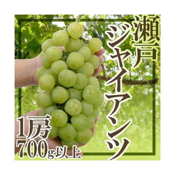 Ԃǂ RY h˃WCAch Gi [ 700gȏ ϔy\ 9ȍ~z