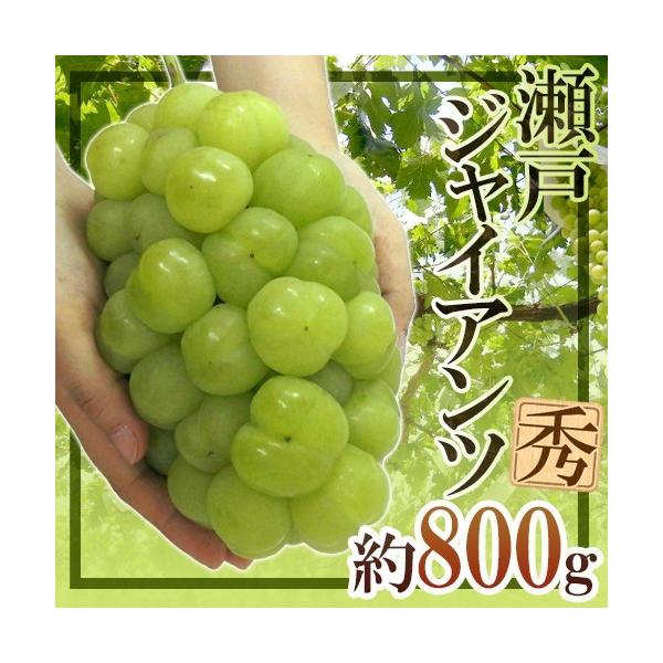 Ԃǂ RY h˃WCAch Gi [ 800gȏy\ 9ȍ~z