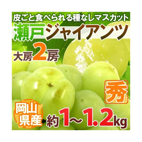 Ԃǂ RY h˃WCAch [ 2[ 1`1.2kg Ԃǂ[B2]y\ 8ȍ~z