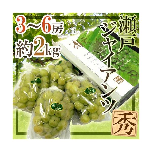 Ԃǂ RY h˃WCAch 3`6[ 2kg ϔ Ԃǂy\ 8ȍ~z 