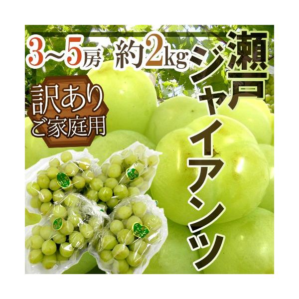 Ԃǂ RY h˃WCAch 󂠂 3`5[ 2kg Ԃǂy\ 8ȍ~z