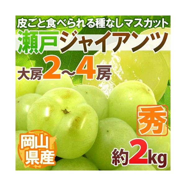 Ԃǂ RY h˃WCAch [ 2`4[ 2kg Ԃǂ[B2]y\ 8ȍ~z