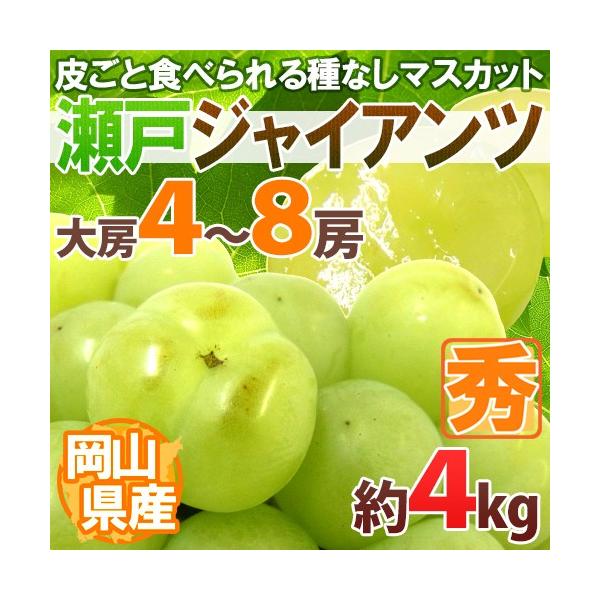 Ԃǂ RY h˃WCAch [ 4`8[ 4kg Ԃǂ[B2]y\ 8ȍ~z