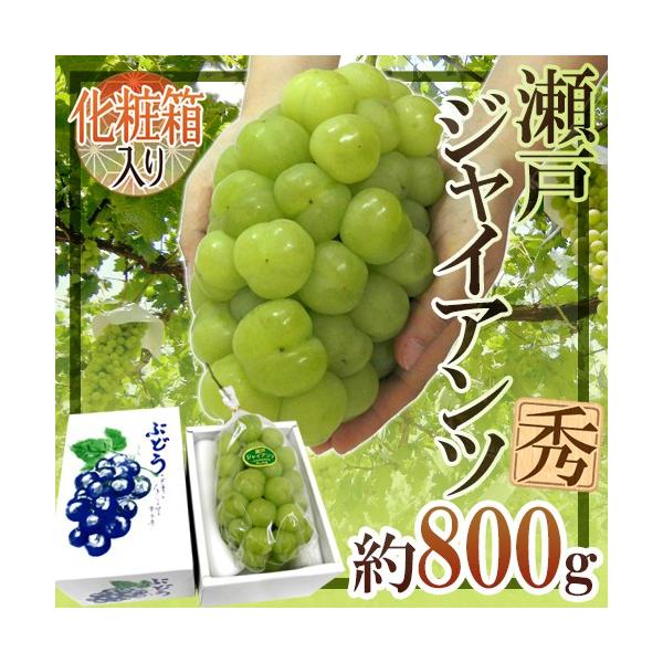 Ԃǂ RY h˃WCAch [ 1[ 800gȏ ϔ Ԃǂy\ 8ȍ~z 